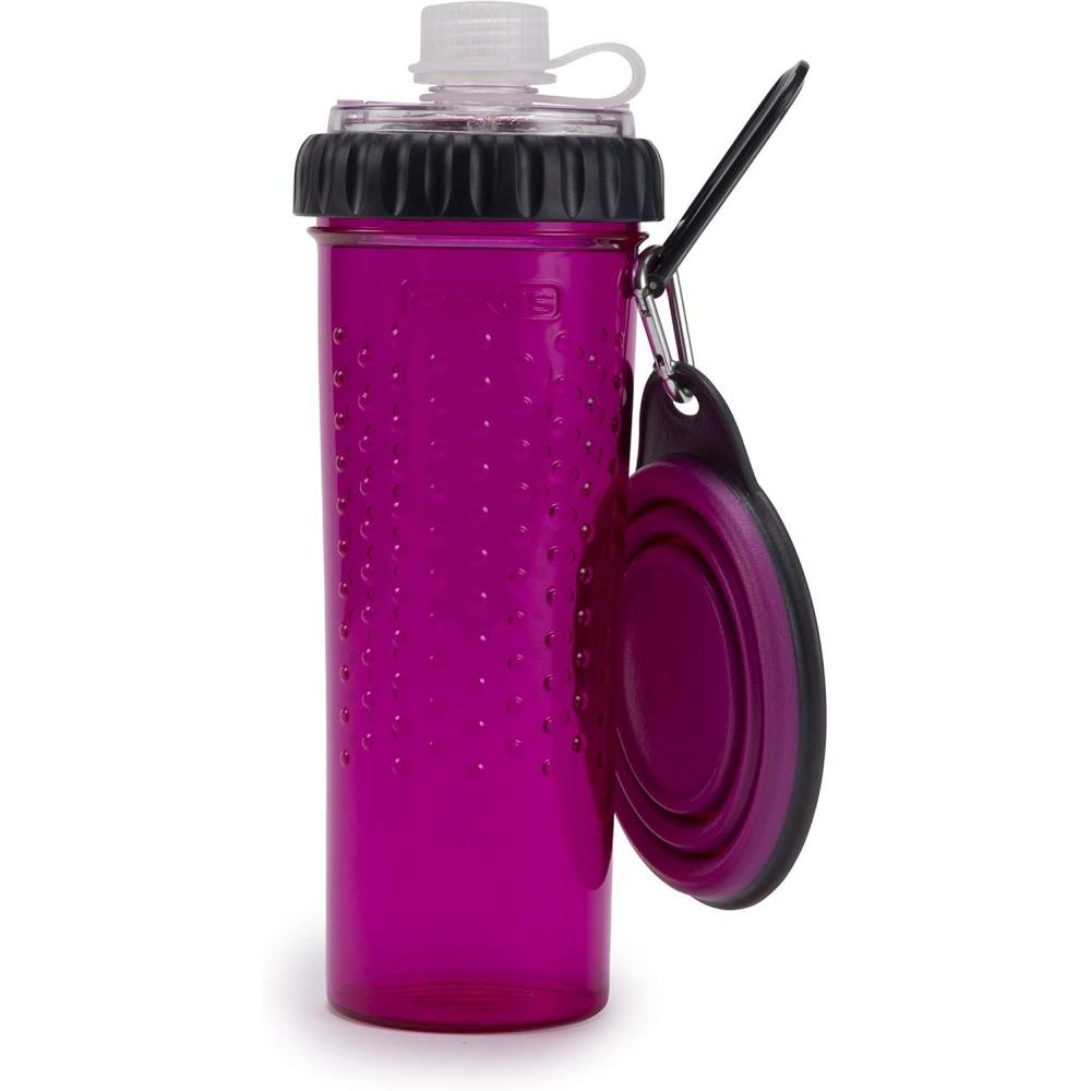Dexas Popware for Pets Snack Duo Dual Chambered Hydration Bottle and Snack Container with Collapsible Pet Cup, Green(Fuchsia)