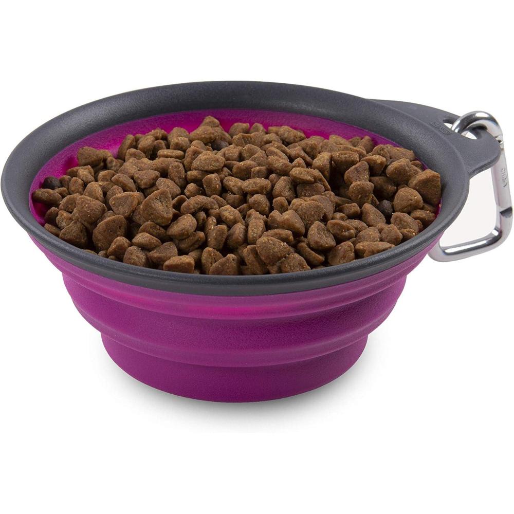 Dexas Popware for Pets Collapsible Travel Cup, Large, Gray/Blue(Fuchsia)