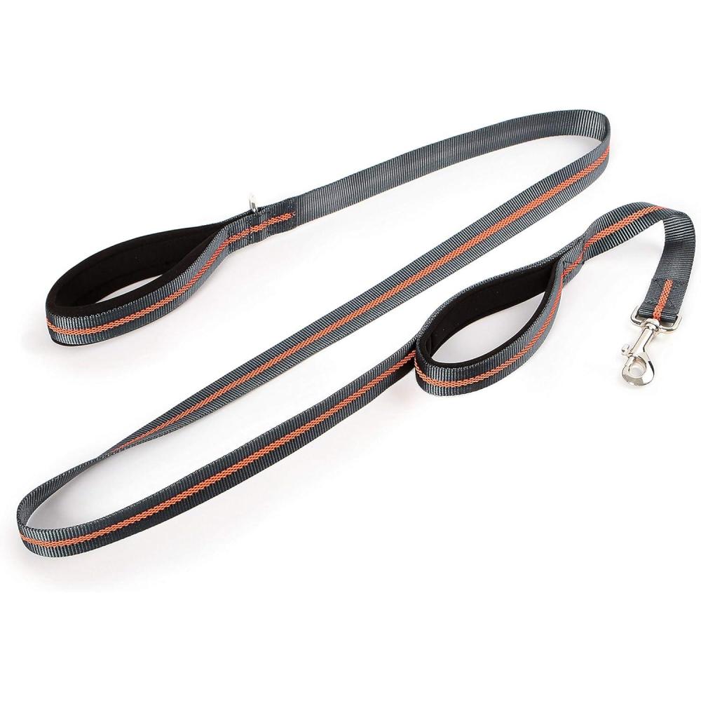 Dexas Double Handled Reflective Dog Leash, Large