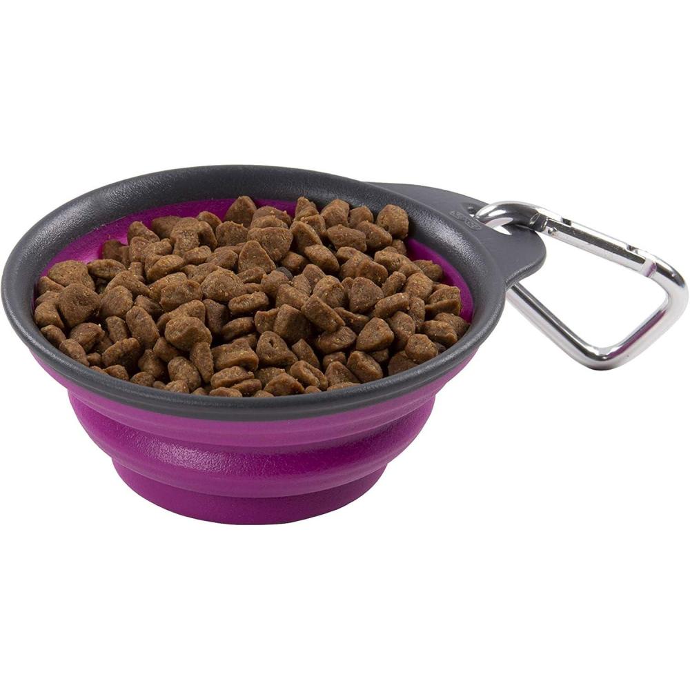 Dexas Popware for Pets Collapsible Travel Cup, Large, Gray/Blue(Fuschia)